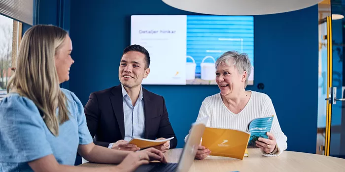Kollegor i möte med presentation